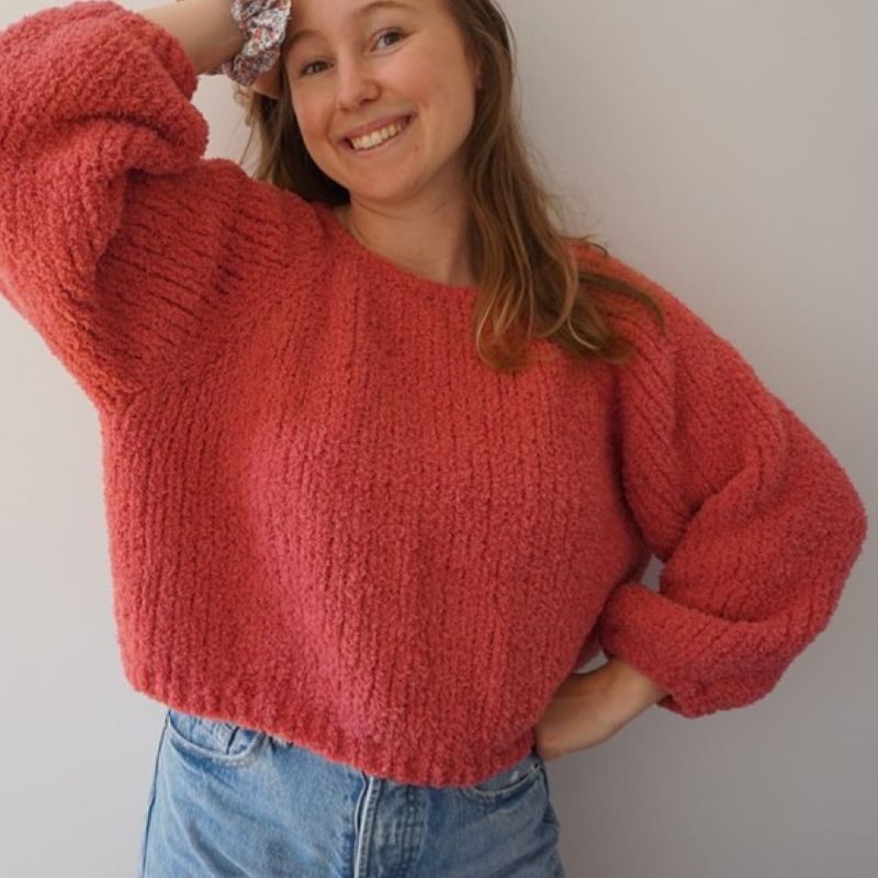 modele de tricot gratuit pull